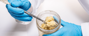 what is live rosin?